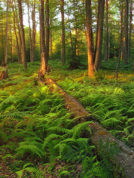 Warmth - Kostenloses image #284383
